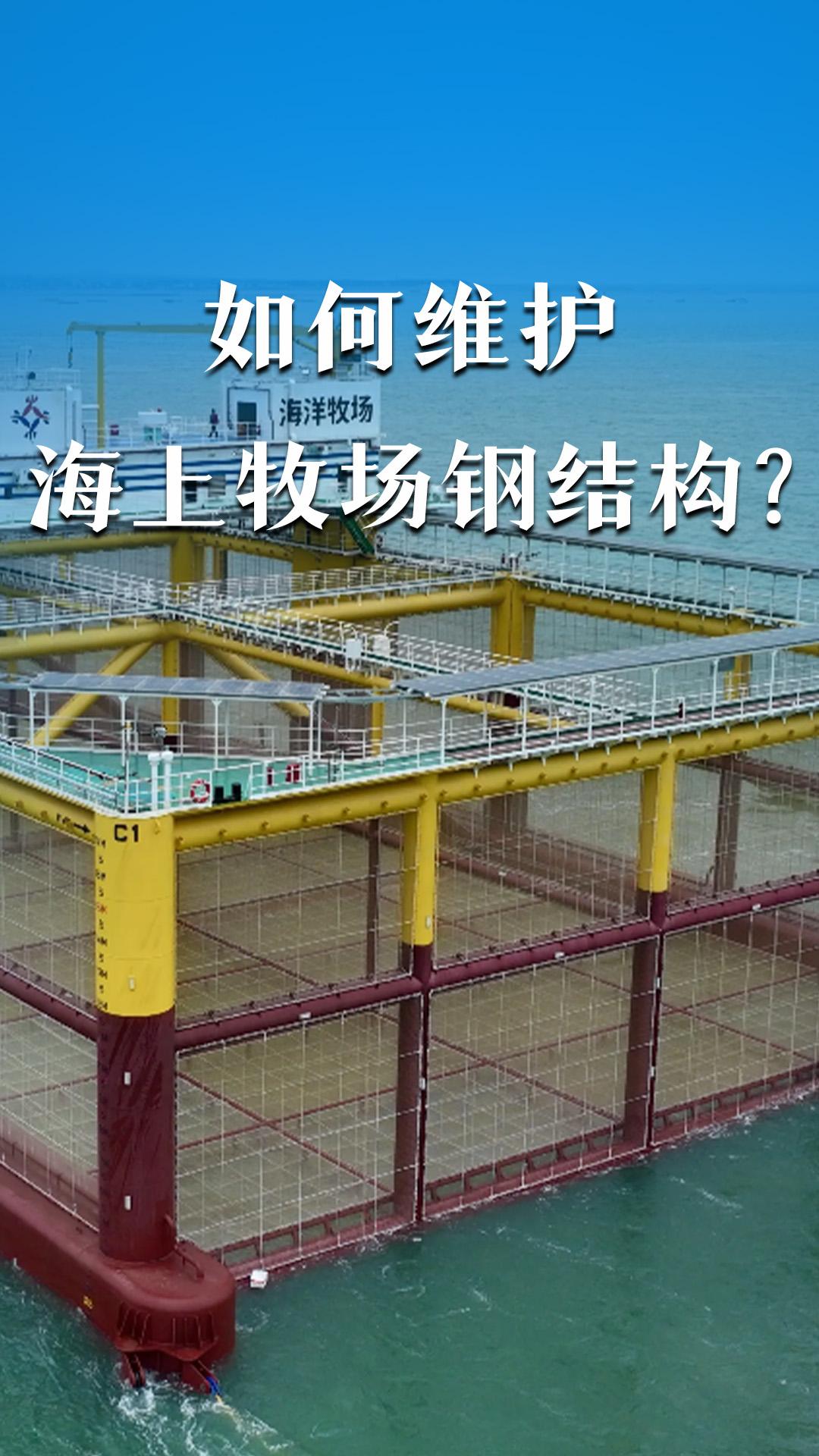 如何维护海上牧场钢结构？