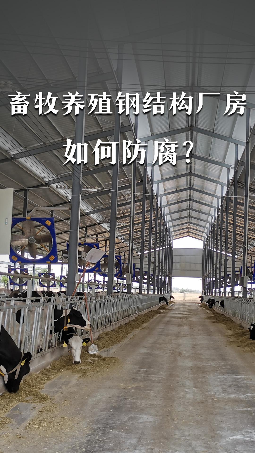 畜牧养殖钢结构厂房如何防腐？