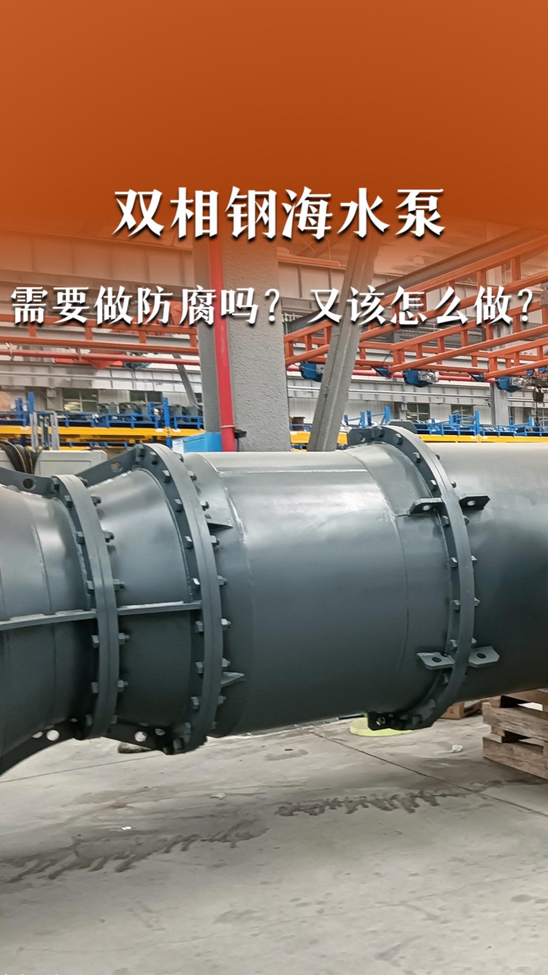 双相钢海水泵需要做防腐吗？又该怎么做？