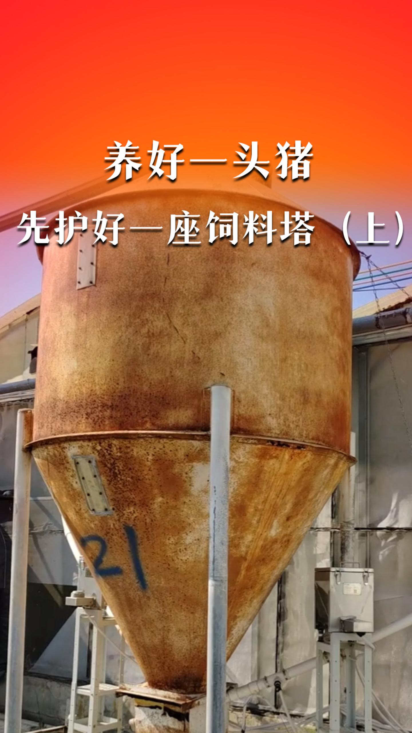 养好一头猪，先护好一座饲料塔（上）