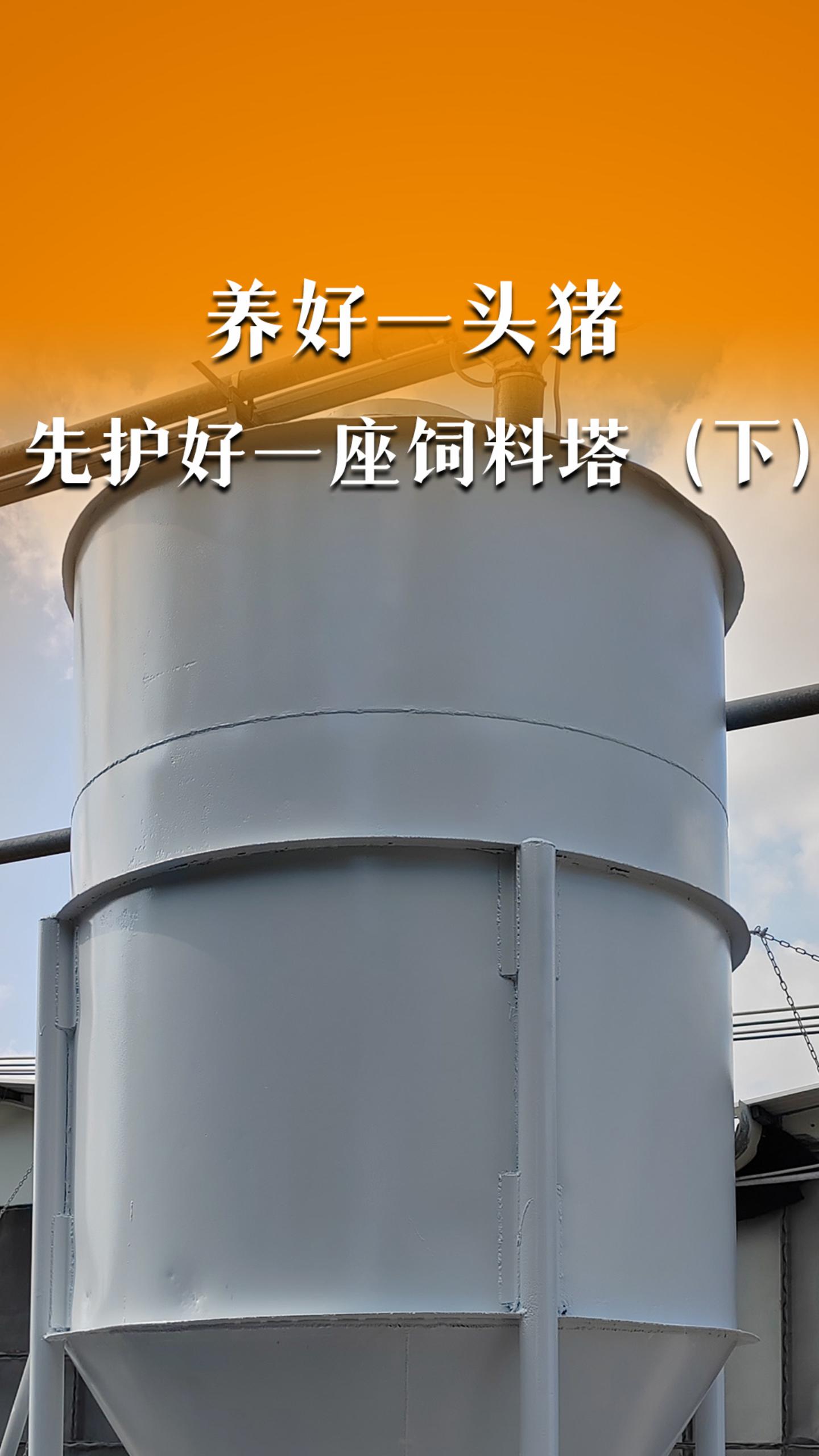 养好一头猪，先护好一座饲料塔（下）